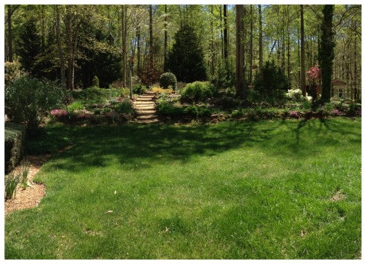 backyard with a green lawn and landscaping
