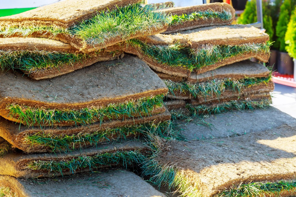 sod layered on pallets