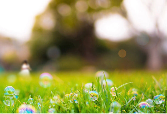 lawn with bubbles