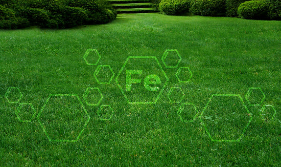 green grass with Fe (iron) element 