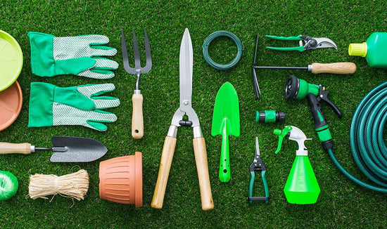 Photograph of gardening and lawn care tools neatly arranged on grass