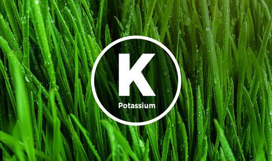 The Benefits of Potassium For Your Lawn