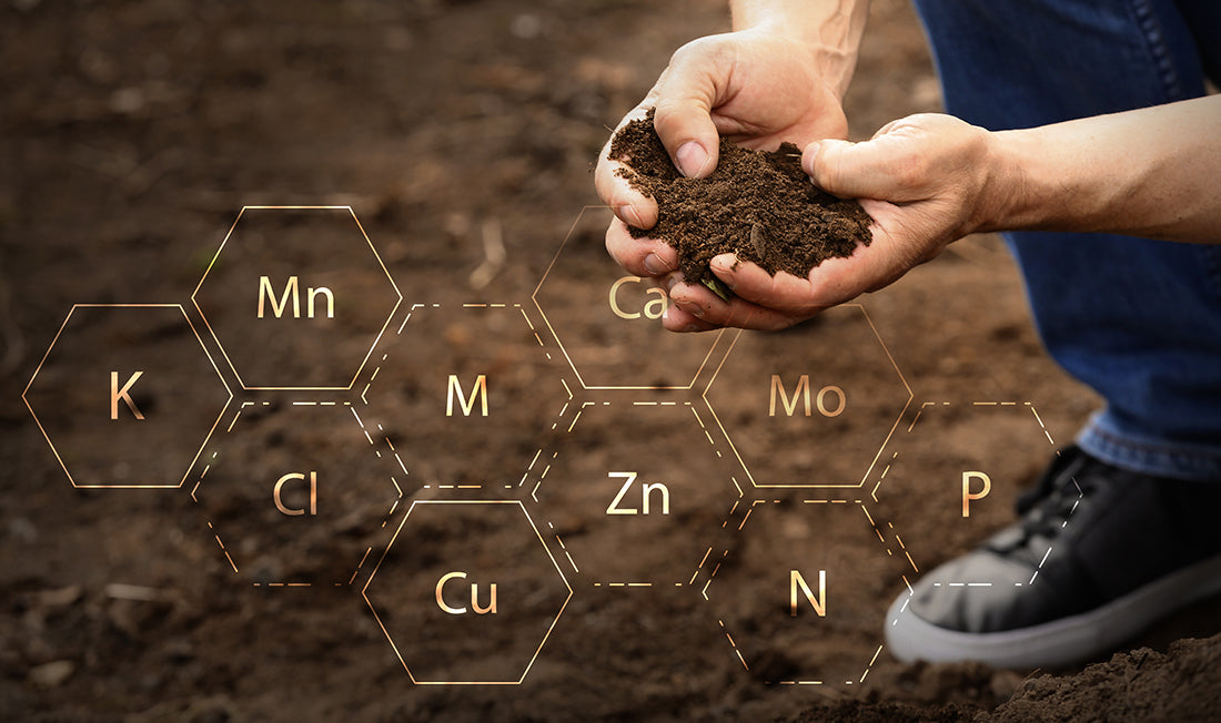 Photo of person holding soil with macro and micro nutrient abbreviations