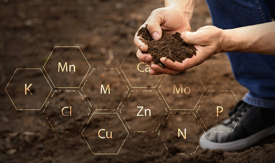 Photo of person holding soil with macro and micro nutrient abbreviations