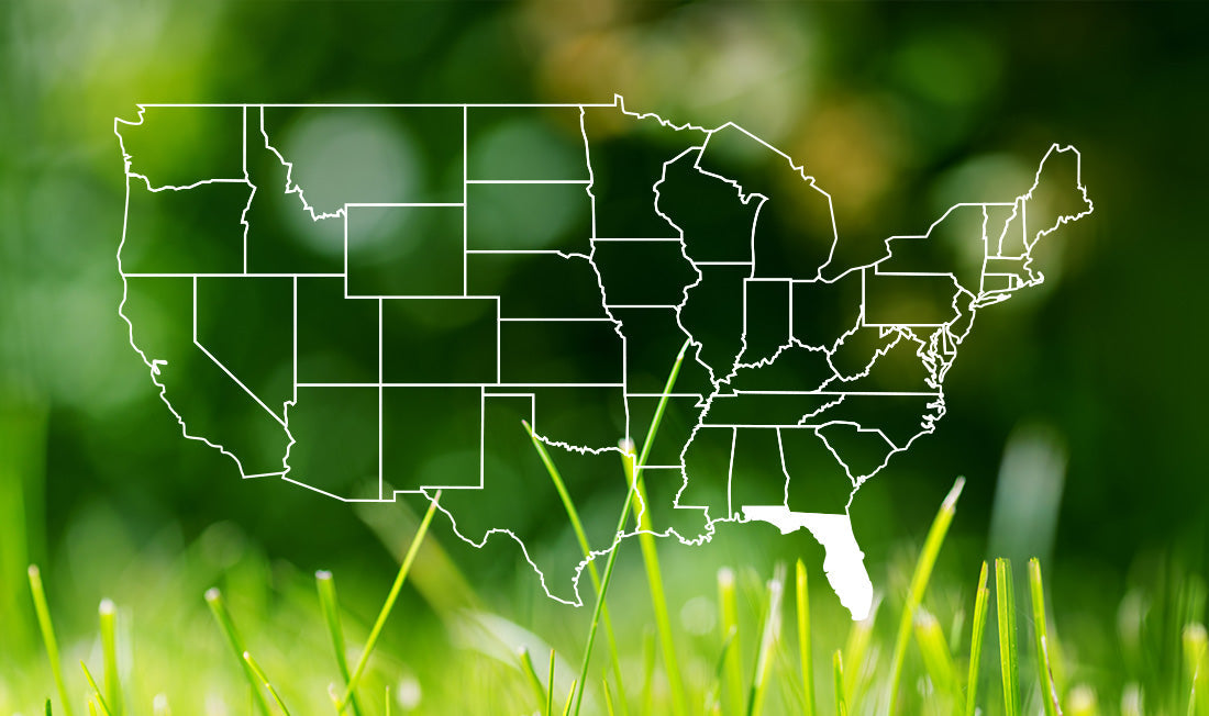 Florida Winter Lawn Care