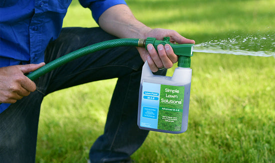 The Best Lawn Fertilizers for Spring Application