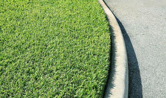 Image of a St. Augustinegrass lawn with a curved curb and road