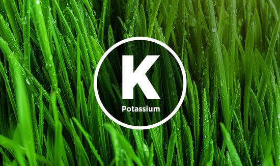 Green grass with Potassium 