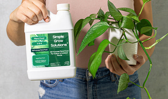 Woman holding a pothos houseplant and 4-6-8 plant food by Simple Grow Solutions