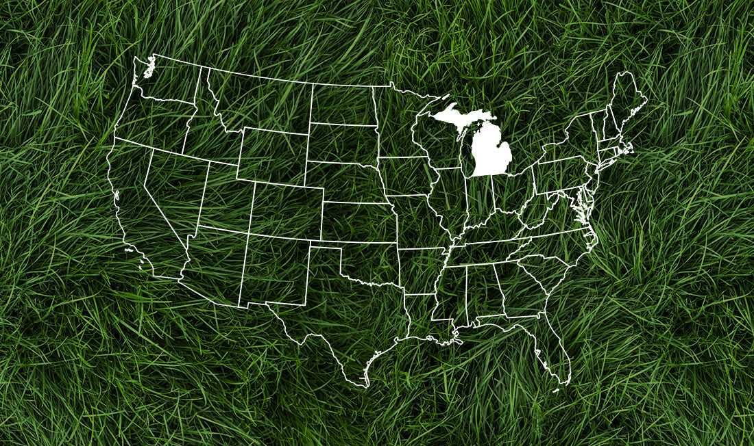 United States outlined in white with a dark green grass background