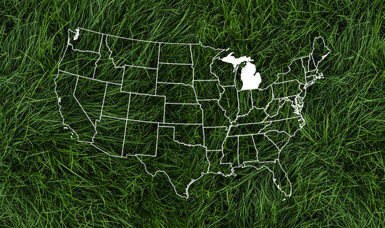 United States outlined in white with a dark green grass background