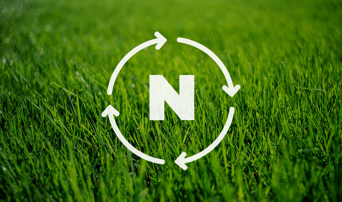 Nitrogen cycle infographic