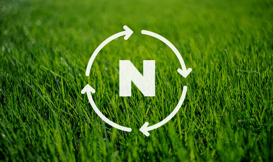 Nitrogen cycle infographic