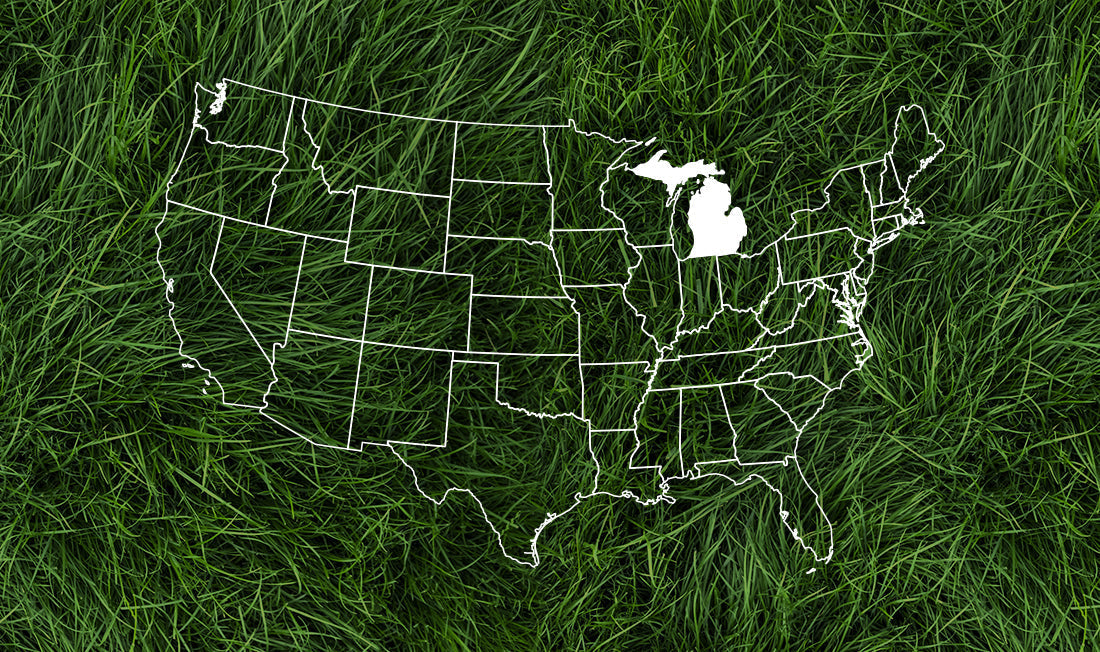 United States outlined in white with a dark green grass background