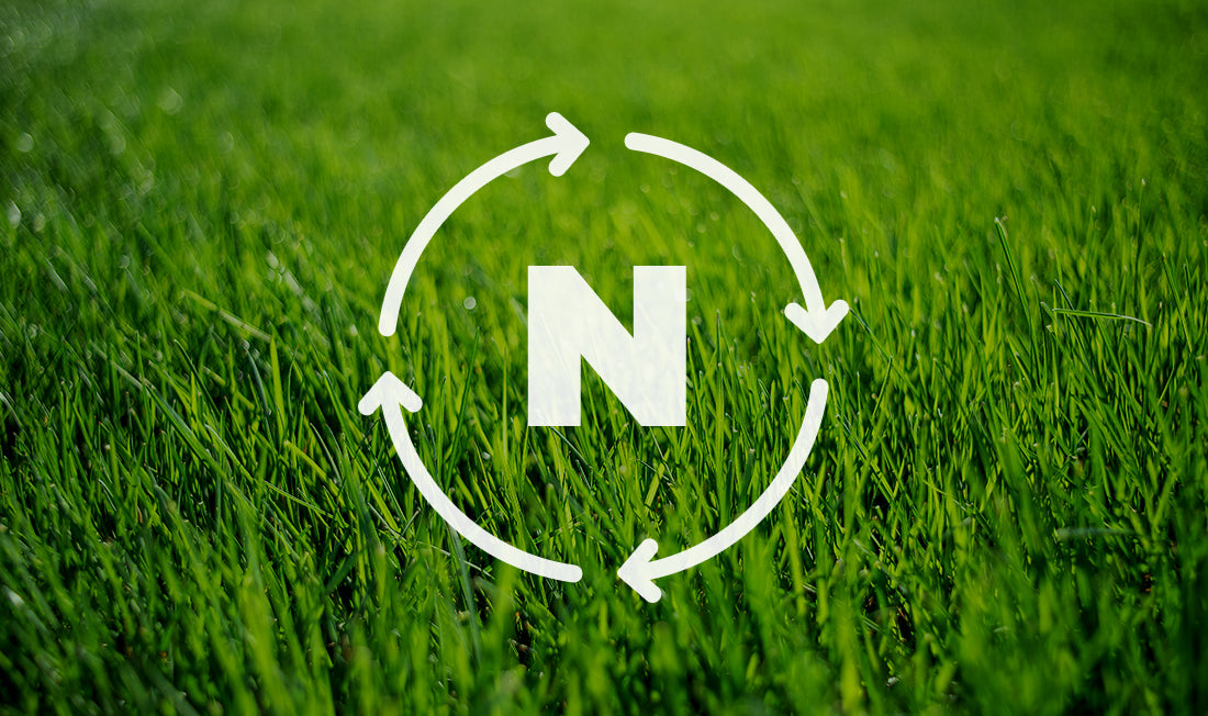 The Nitrogen Cycle: How Plants Use Nitrogen