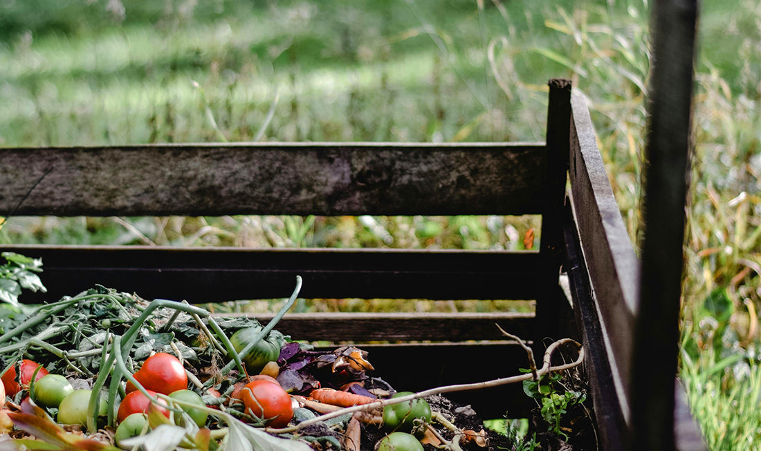 Composted vegetables 