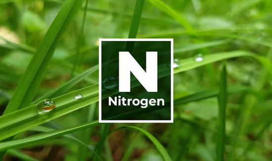 Nitrogen in front of a green grass background