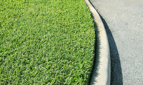 Image of a St. Augustinegrass lawn with a curved curb and road