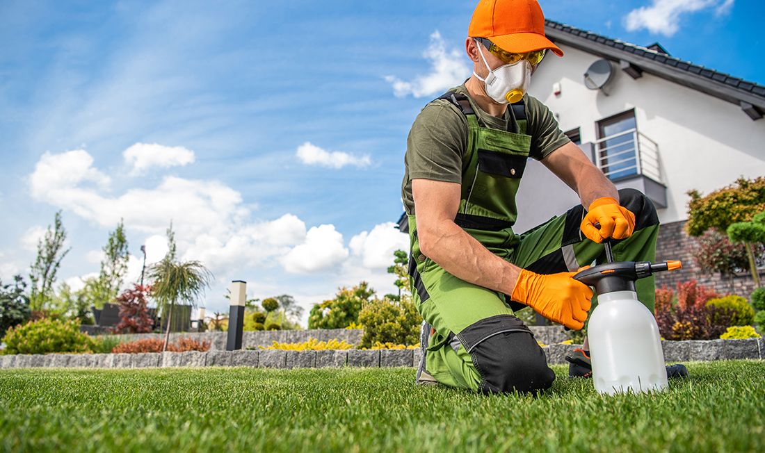 Man applying chemicals to lawn using pump sprayer