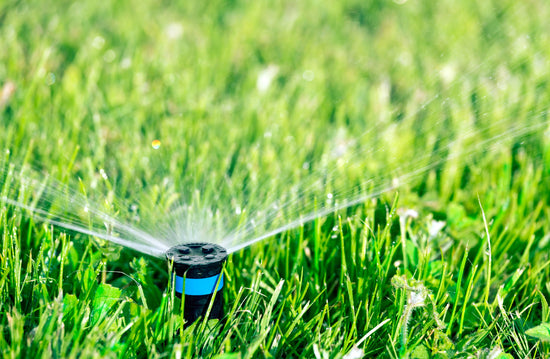 Sprinkler head spraying water on grass
