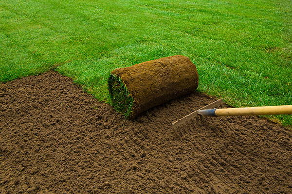 Photo of new grass sod being laid