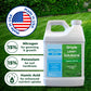 Lawn Food: 15-0-15 Phosphorus- Free (Half Gallon)