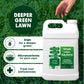 Simple lawn Solutions Darker Green in front of a deep green lawn. Iron and nitrogen fertilizer