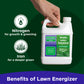 Lawn Booster: Lawn Energizer Iron & Nitrogen Blend (1 Quart)