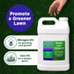Lawn Booster: Lawn Energizer Iron & Nitrogen Blend (2.5 Gallon)