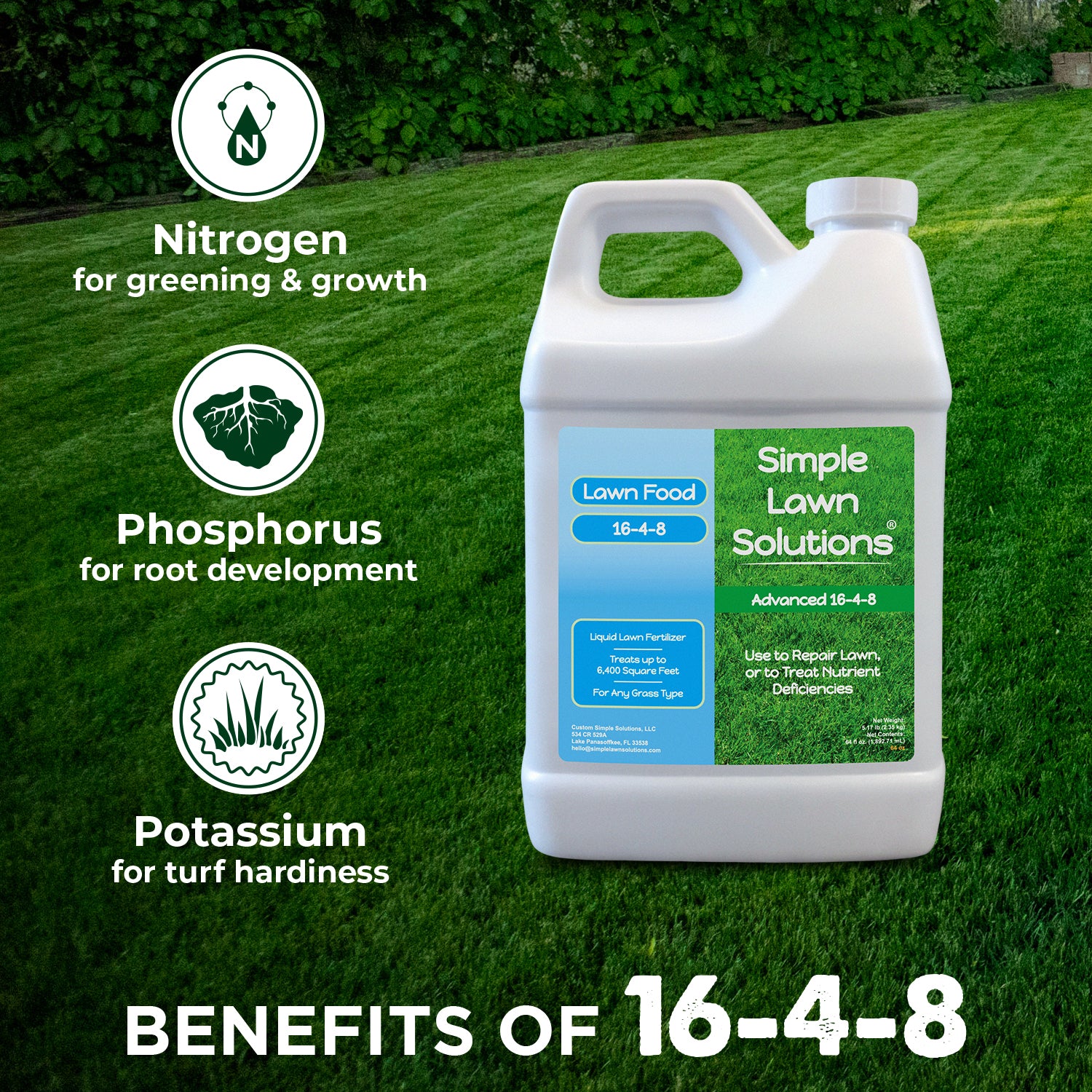 balanced fertilizer for plants Lawn Food: 16-4-8 Complete Balanced NPK Fertilizer (Half Gallon)