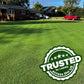 Lawn Food: 15-0-15 Phosphorus- Free (Half Gallon)