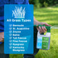 Lawn Food: 15-0-15 Phosphorus- Free (32 ounce)