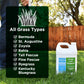 Lawn Food: 16-4-8 Complete Balanced NPK (1 Gallon)