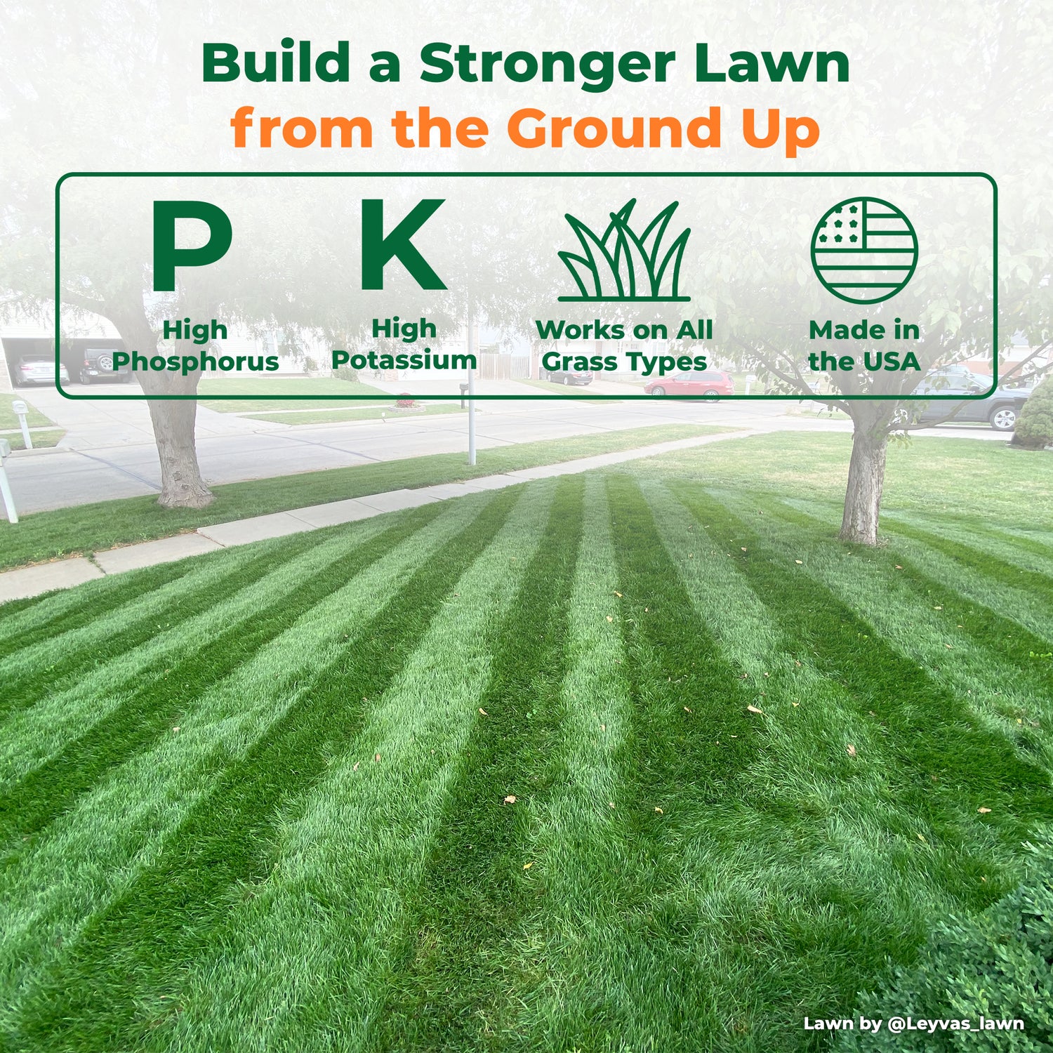 A lawn care marketing graphic with the headline &