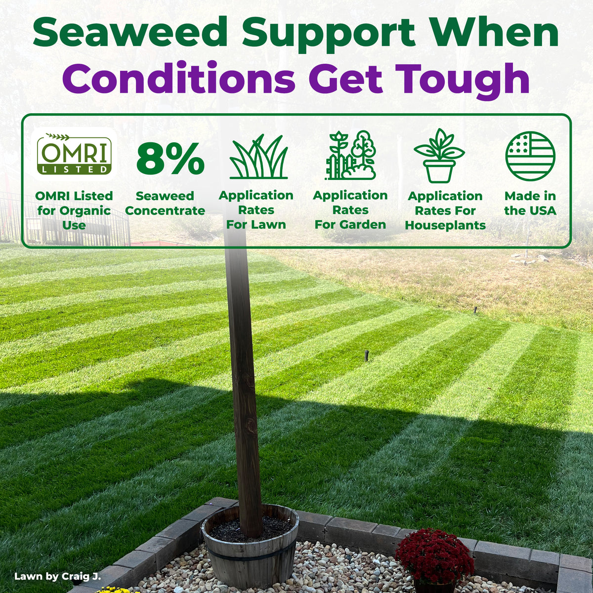 Photo of a striped lawn with informational text about Sea Hume, "Seaweed Support when conditions get tough: OMRI listed for organic use, 8% seaweed, application rates for lawn, garden, and houseplants. Made in the USA."