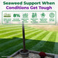 Photo of a striped lawn with informational text about Sea Hume, "Seaweed Support when conditions get tough: OMRI listed for organic use, 8% seaweed, application rates for lawn, garden, and houseplants. Made in the USA."