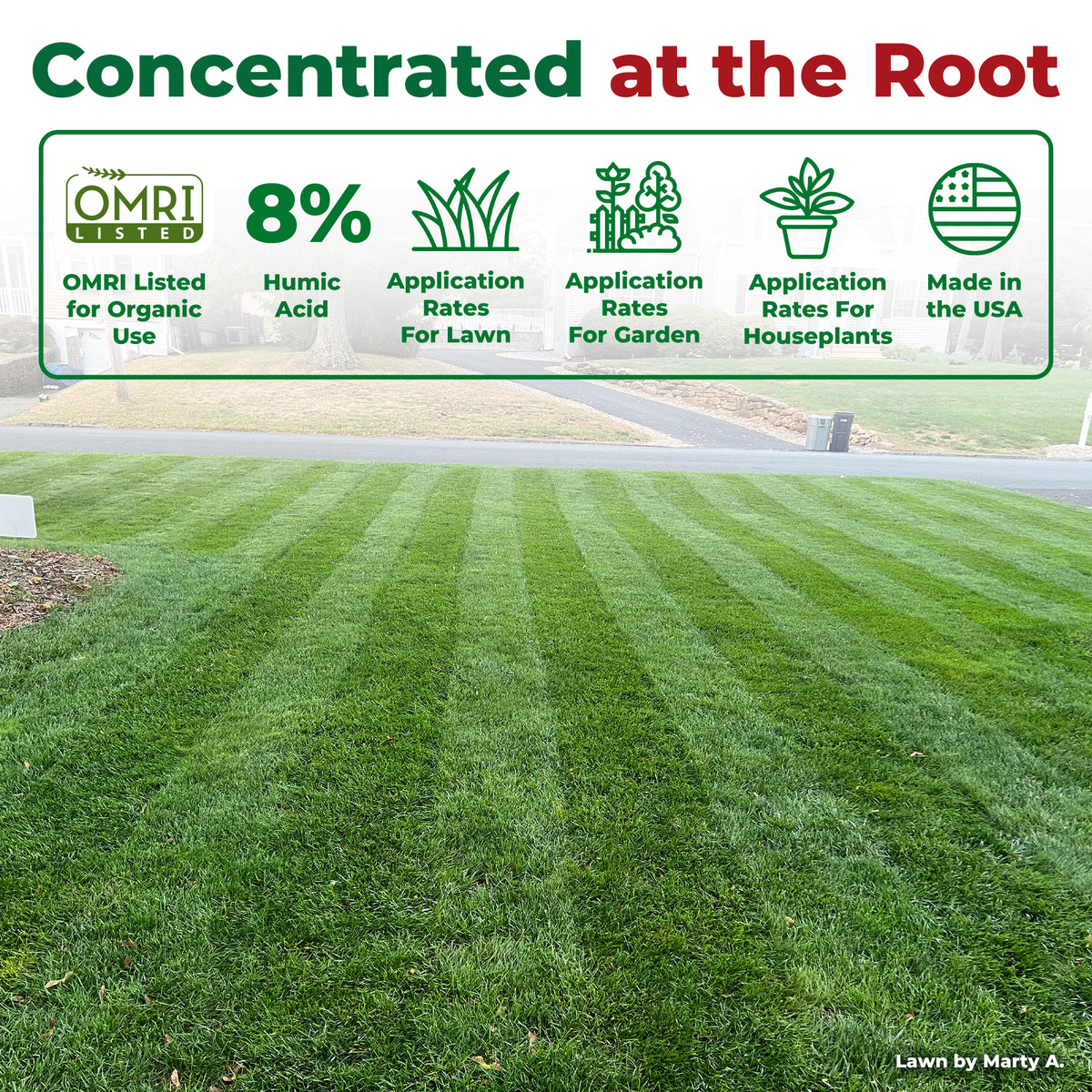 A green, striped lawn with a large informational banner at the top reading &