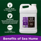 Sea Hume: Organic 8% Seaweed & Humic Acid Formula (2.5 Gallon)