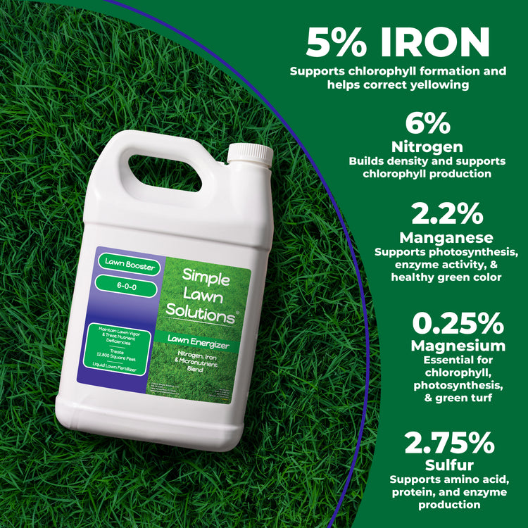 A white plastic bottle of Lawn Energizer Lawn Booster by Simple Lawn Solutions lies on green grass beside a dark green informational panel listing key nutrients: 5% iron, 6% nitrogen, 2.2% manganese, 0.