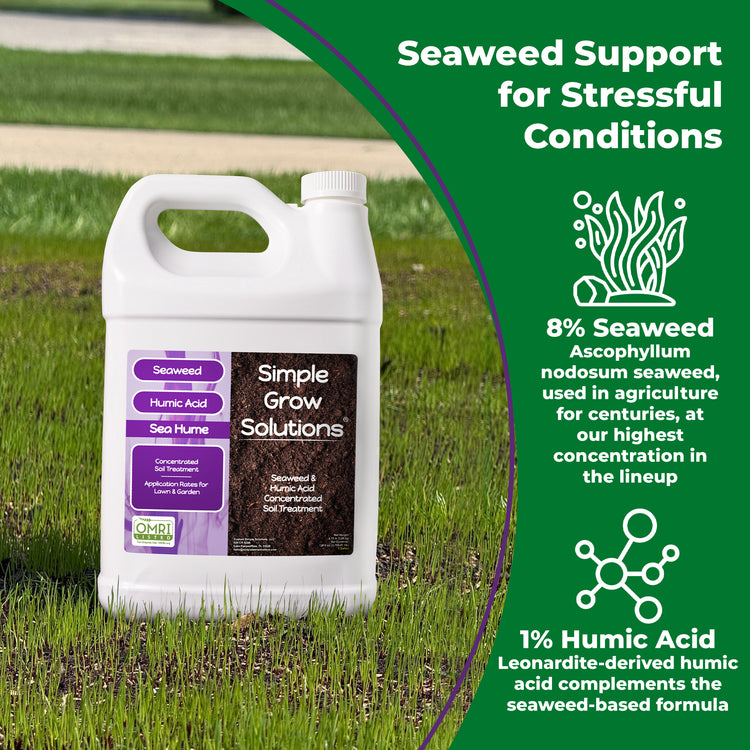 A white plastic jug of Simple Grow Solutions Seaweed Support for Stressful Conditions is shown standing in a grassy outdoor area. The product label features purple and brown sections with product details.
