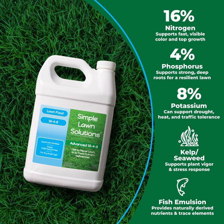 A white plastic bottle of Simple Lawn Solutions Lawn Food 16-4-8 fertilizer placed on green grass, with a dark green graphic panel on the right listing key nutrients and benefits: 16% nitrogen, 4% phosphorus, 8% potassium, kelp/seaweed, and fish emulsion.