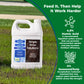 A white plastic jug of Simple Grow Solutions Seaweed Humic Acid Soil Humus fertilizer placed on green grass, with a green informational graphic overlay on the right detailing product benefits.