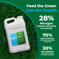 Large 2.5 gallon jug of Simple Lawn Solutions High Nitrogen 28-0-0 lawn fertilizer on green grass background, &