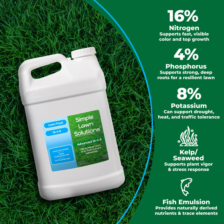 A white plastic gallon jug of Simple Lawn Solutions 16-4-8 fertilizer placed on green grass, with a dark green informational panel on the right listing nutrient claims: 16% nitrogen, 4% phosphorus, 8% potassium, kelp/seaweed, and fish emulsion.