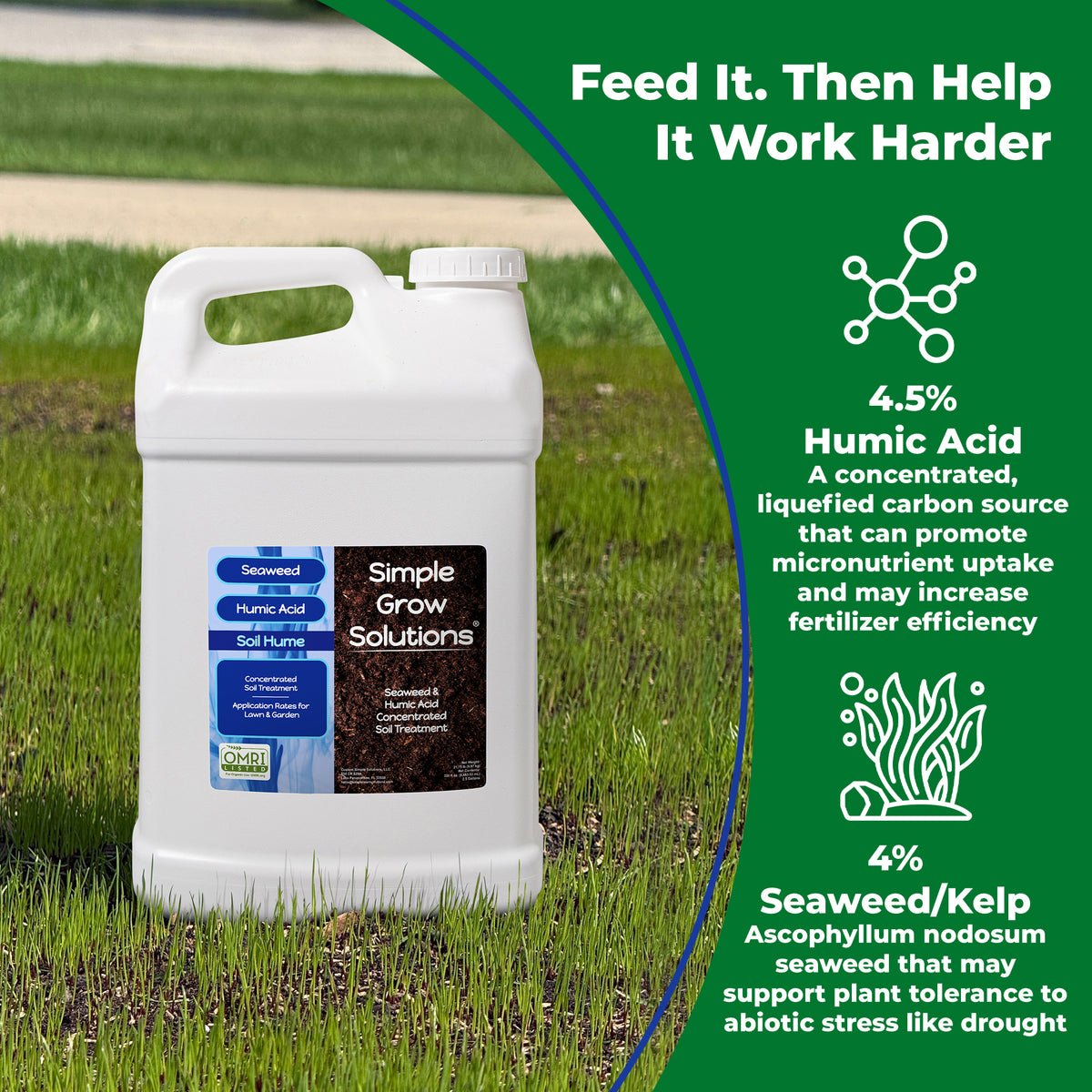 Photo of Soil Hume on top of a newly seeded lawn with information about the benefits of kelp and humic acid for plants