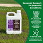 A white plastic bottle of Simple Grow Solutions Seaweed & Humic Acid Concentrate Soil Treatment stands on grass in a field. The bottle has a purple and black label.