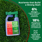 A bottle of Simple Lawn Solutions Lawn Booster 8-15-3 Growth Boosters placed on artificial green grass, with promotional text on a dark green background explaining the nutrient benefits.