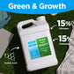 Greening and growth formula for lawn