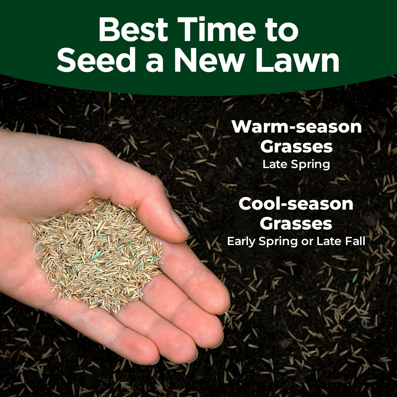 best time in spring to plant grass seed Seeding Bundle (32 Ounce) – Simple Lawn Solutions