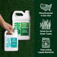 Rapid Green-up Bundle: Darker Green Liquid Iron & Accelerate Surfactant (1 Gallon & 32 ounce)